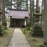 Medium_1 031